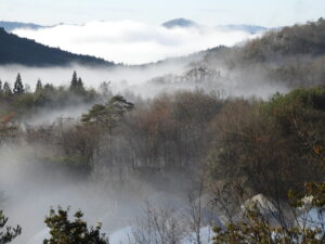 朝は冷え込みます⑤。