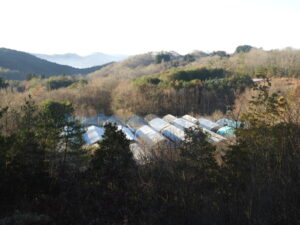 また朝は冷えます。