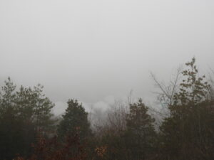 また朝は冷えます③。