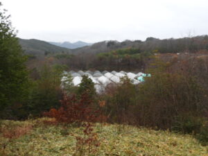 雨が降ります。