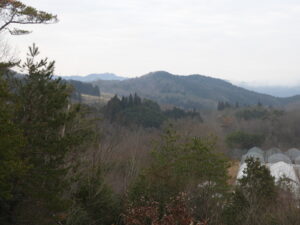 日中はこの時期にしては暖かいです。