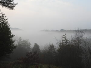 今年もありがとうございました。