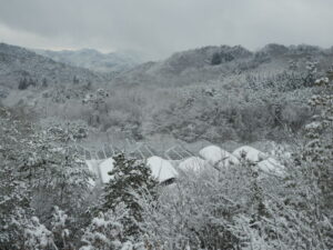 今年もよろしくお願いします。