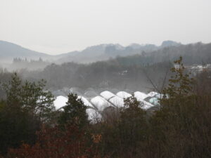 今年もよろしくお願いします②。