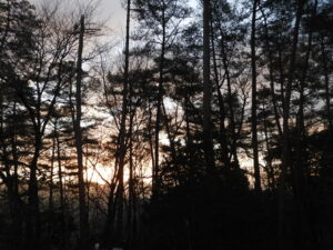 朝の冷え込みは厳しいです。