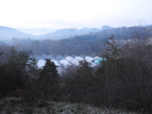 冷え込みの厳しい日が続きます。