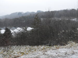 冷え込みの厳しい日が続きます②。