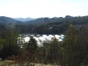 冷え込みの厳しい日が続きます③。