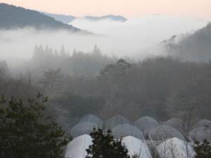 冷え込みの厳しい日が続きます④。