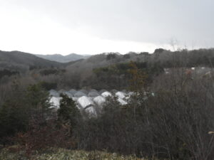 冷え込みの厳しい日が続きます⑤。