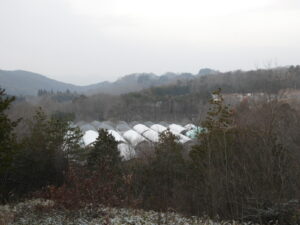 再び朝は白くなっています④。