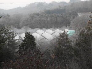 朝は冷え込み厳しく、日中は少し暖かいです。