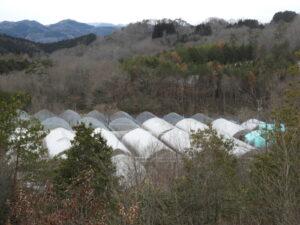 また真冬の天気に戻っています。