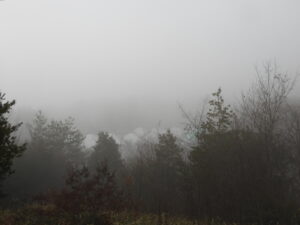 少し暖かくなりました。