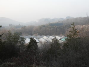 少し暖かくなりました③。