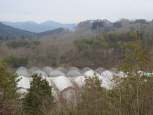 少し暖かくなりました④。