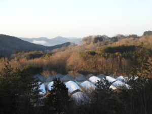 日中は春を感じる暖かい日が続いています③。