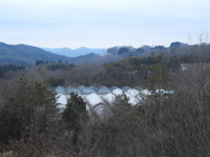 日中は春を感じる暖かい日が続いています④。