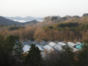 朝一は冷え込み、日中はかなり暖かくなりました。