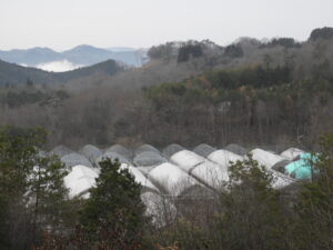 再び雨が降るようです。