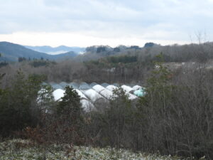 日中は少し暖かいです。