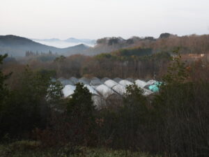 朝は冷え込んでいます⑤。