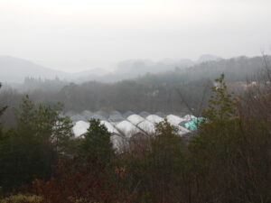 久しぶりの雨です。