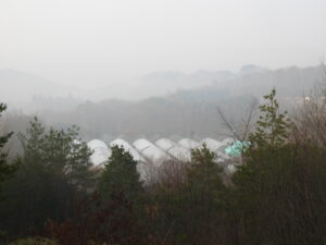 テント上げをしています②。