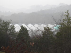 上げたテントの固定をしています。