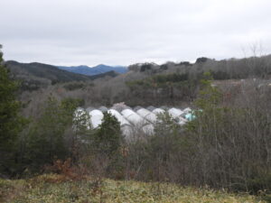 育苗ハウスなどの準備をします③。