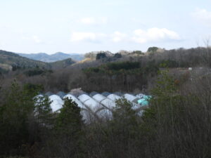 育苗ハウスなどの準備をします④。