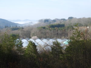 育苗ハウスなどの準備をします⑤。