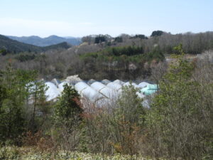 育苗ハウスの準備をしています。