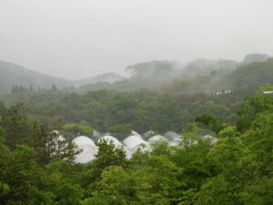 久しぶりの雨となりました。