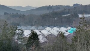 真冬の寒さが戻っています③。