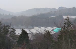 雨か雪が降りそうです。