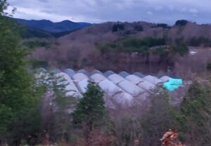 曇っています。