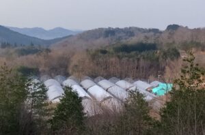 よく晴れて暖かいです。