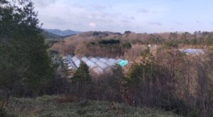 寒さが戻りました。