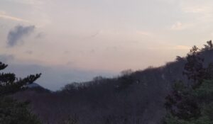 寒さが戻りました②。