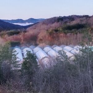 育苗の準備をしています。
