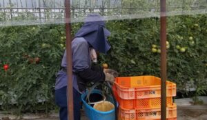 再び雨が降りました②。