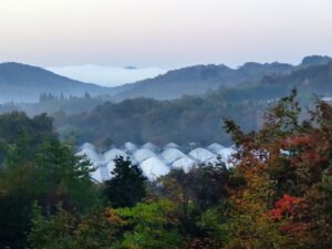 秋深まっています⑥。