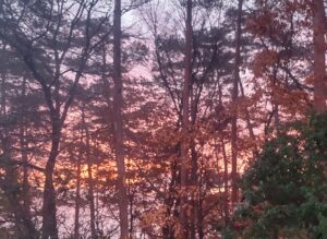 朝は冷え込みます。