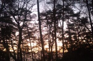 日中は暖かいです④。