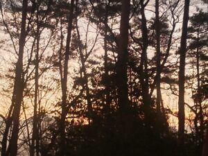 日中はこの時期にしては暖かいです②。