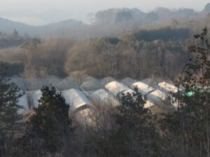 日中は春を感じる暖かい日が続いています⑤。