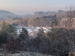 日中は春を感じる暖かい日が続いています⑥。