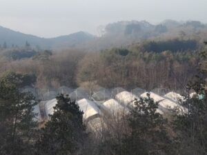 日中は少し暖かいです②。