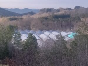 朝は冷え込んでいます⑥。